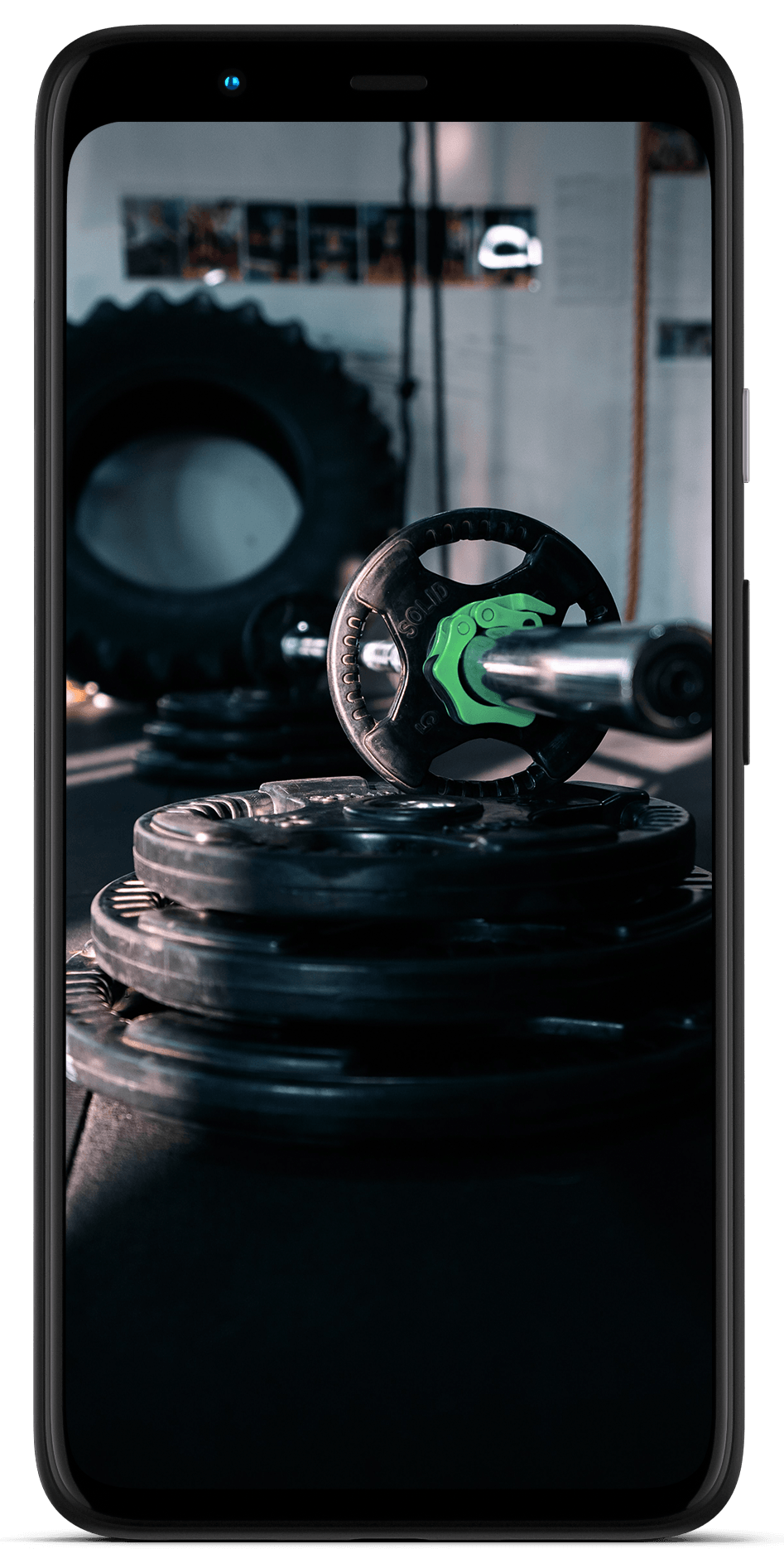 My Programs The Buff Babe Academy